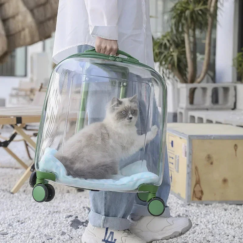 Carrier Pet Backpack