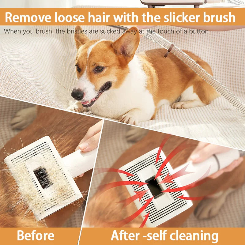 Pet Grooming Kit