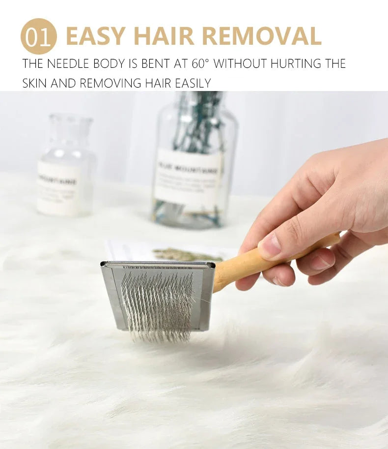 Hair Remover Brush