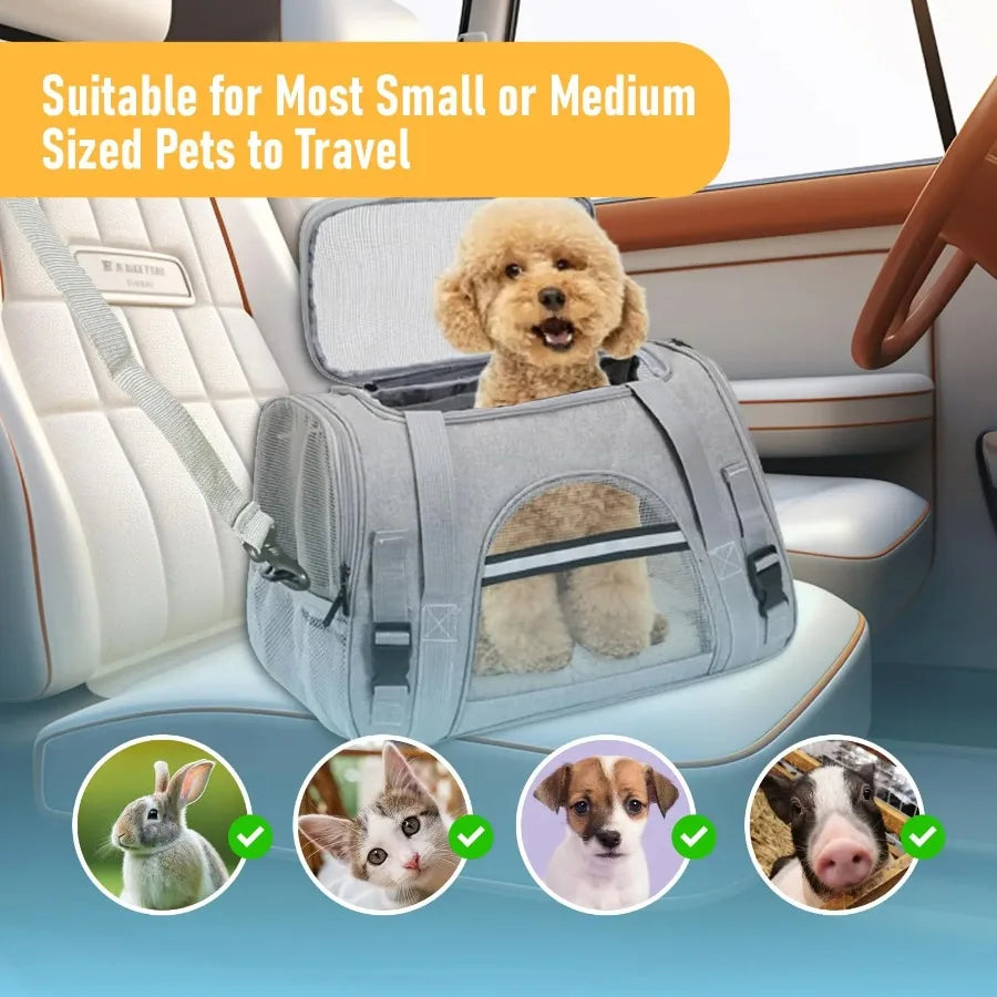 Collapsible Breathable Pet Carrier