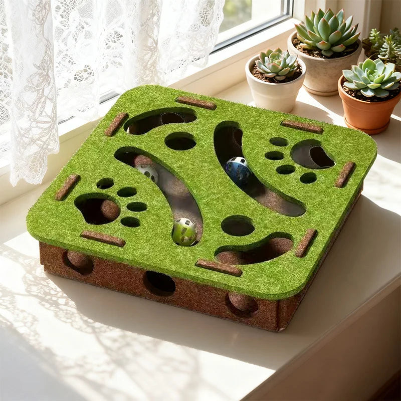 Cat scratch puzzle box