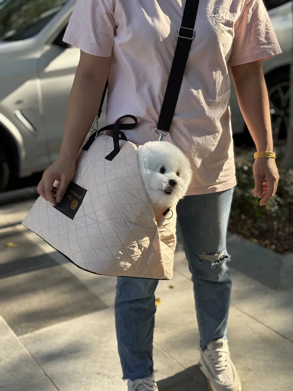 Car Seat Pet Travel Carrier