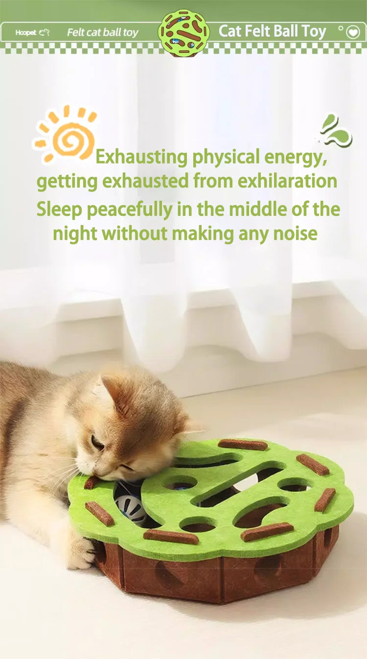 Cat scratch puzzle box