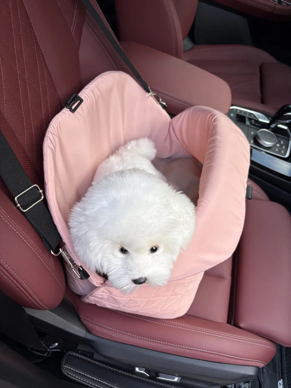 Car Seat Pet Travel Carrier