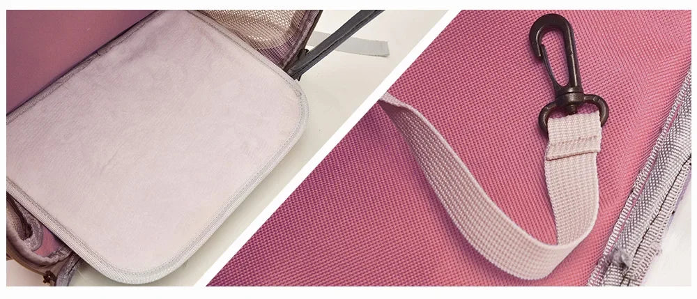 Clear Globe Pet Carrier