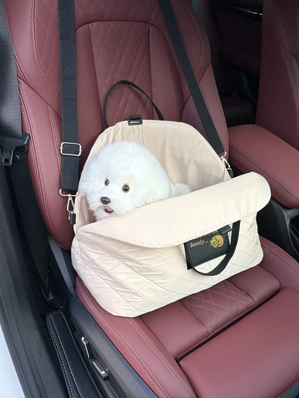 Car Seat Pet Travel Carrier