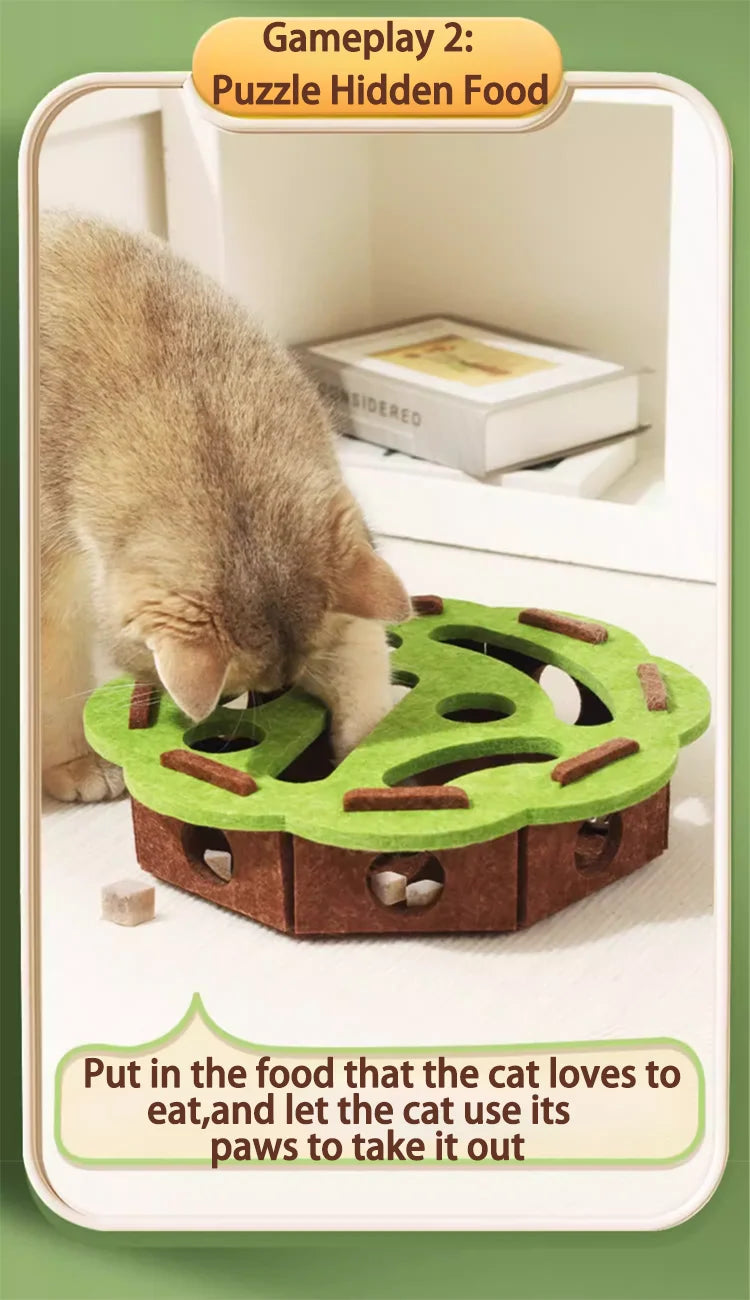 Cat scratch puzzle box