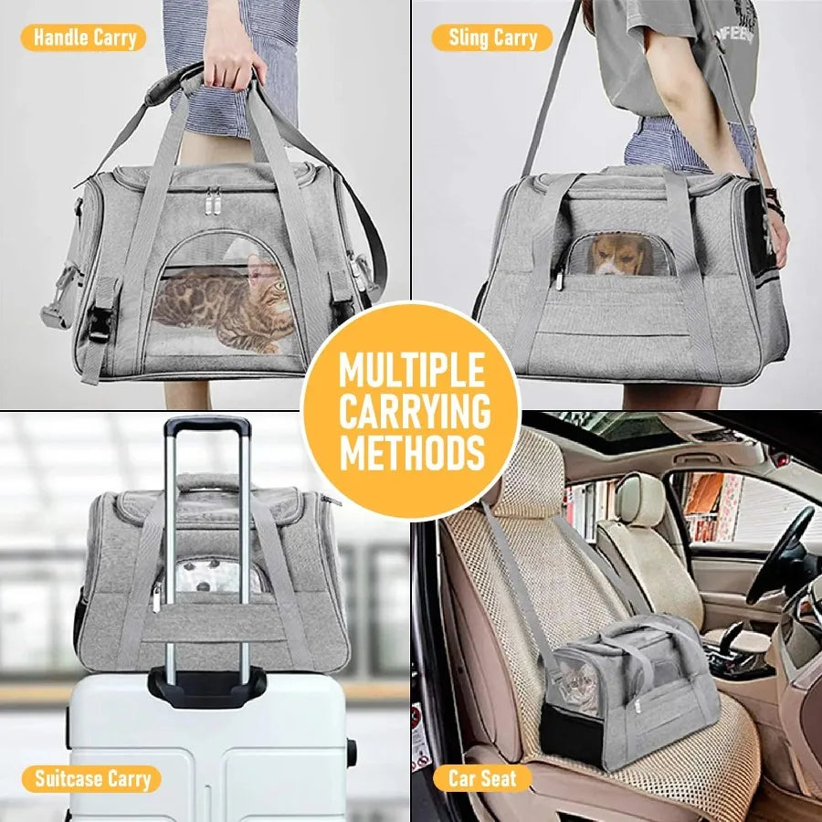 Collapsible Breathable Pet Carrier