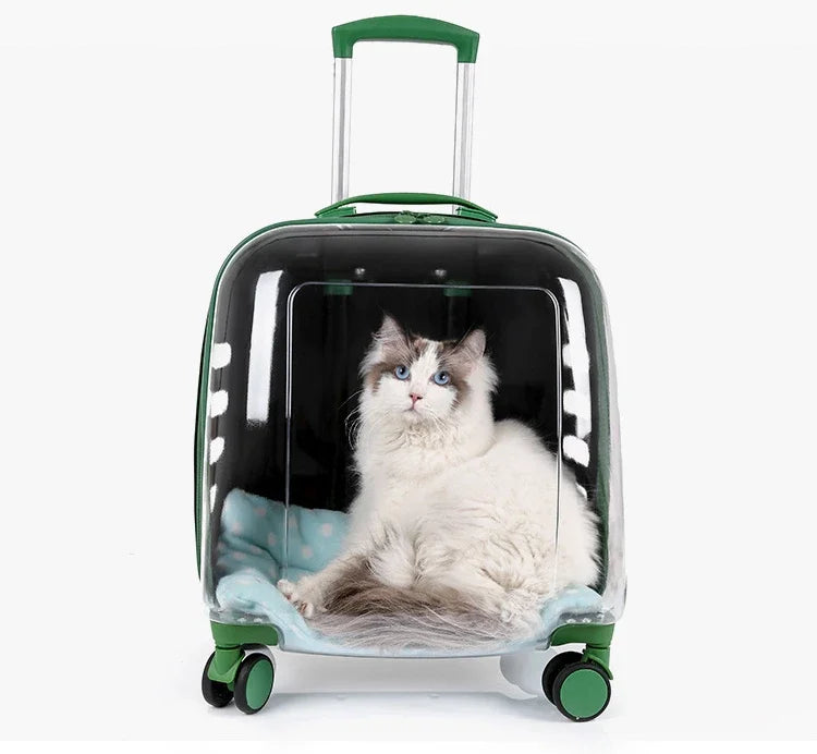 Carrier Pet Backpack
