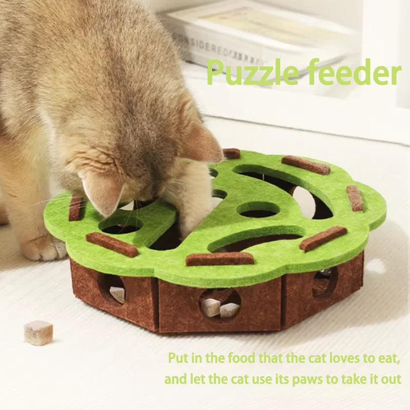 Cat scratch puzzle box