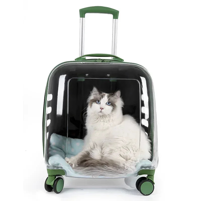 Carrier Pet Backpack