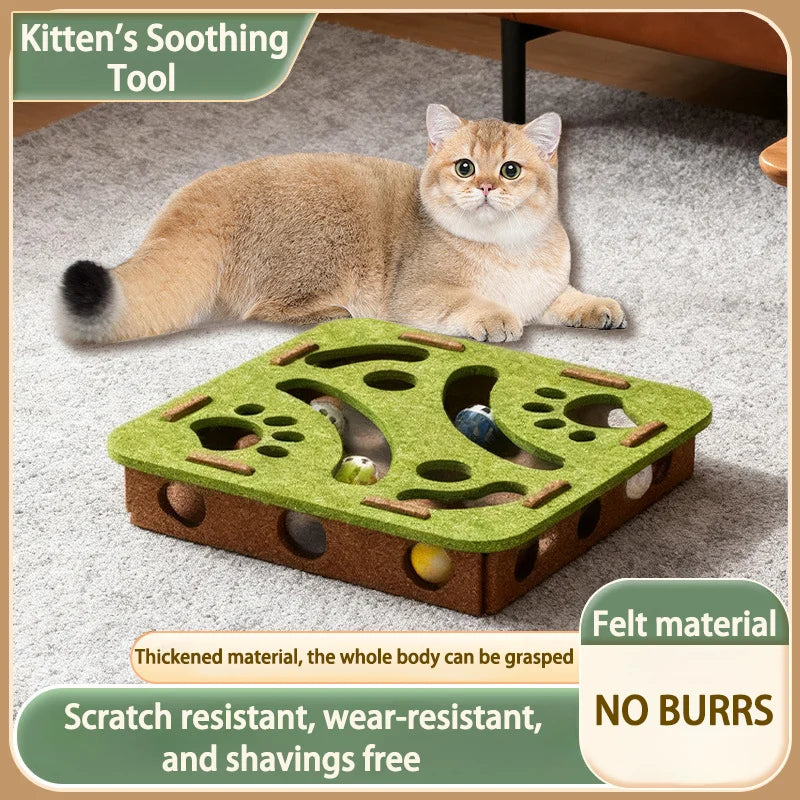 Cat scratch puzzle box