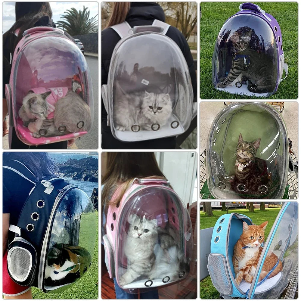 Clear Globe Pet Carrier