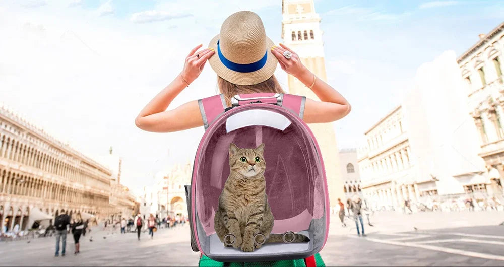 Clear Globe Pet Carrier