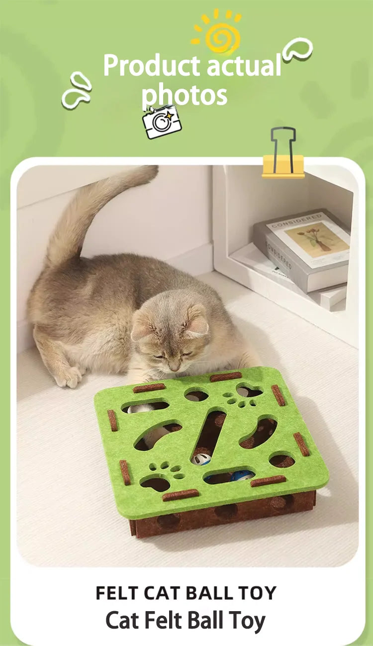 Cat scratch puzzle box