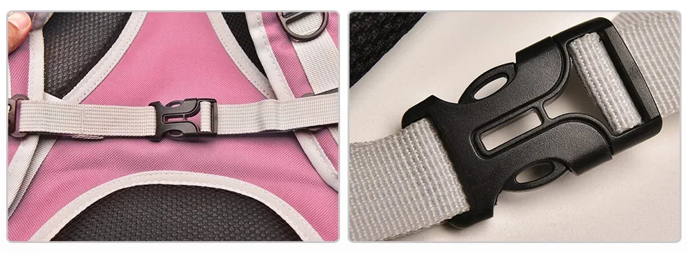 Clear Globe Pet Carrier