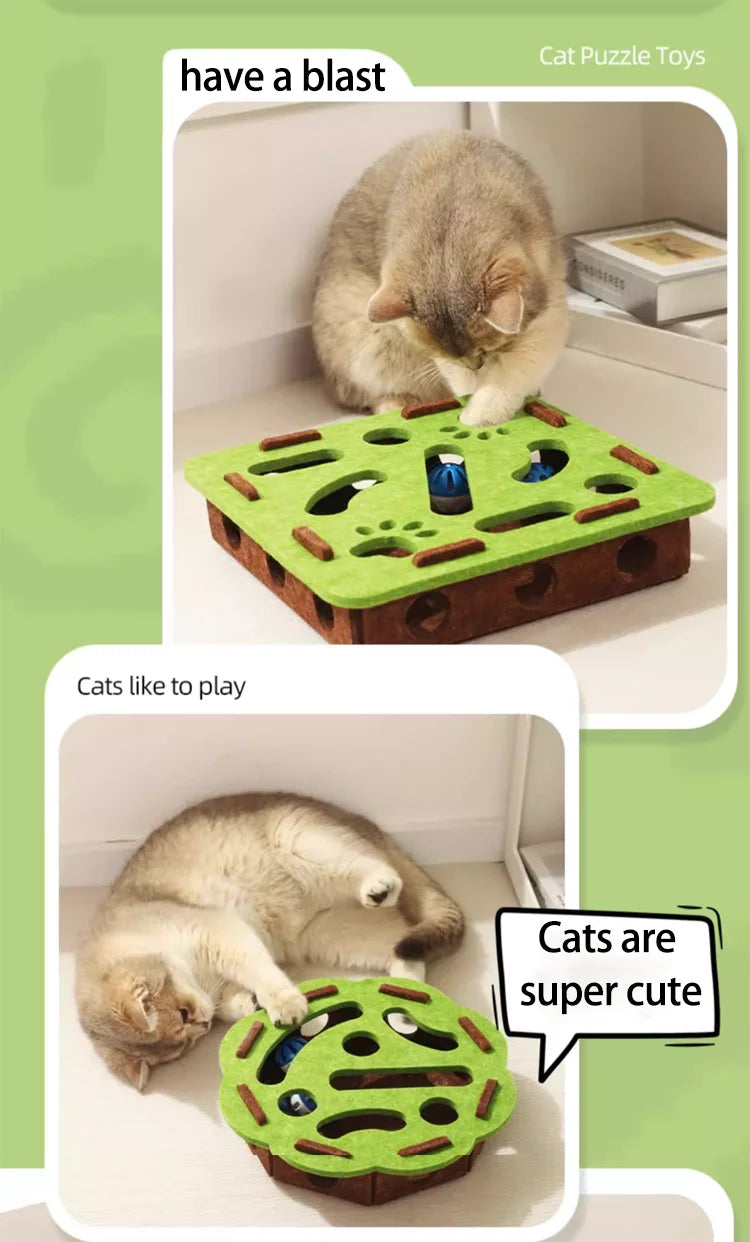 Cat scratch puzzle box