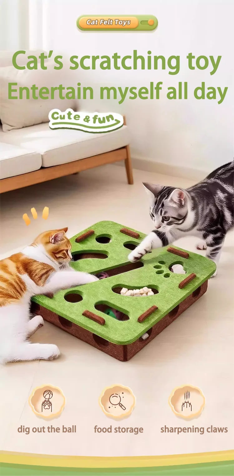 Cat scratch puzzle box