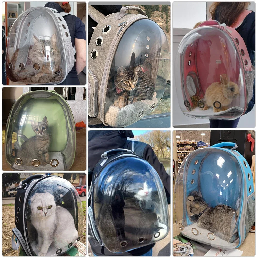Clear Globe Pet Carrier