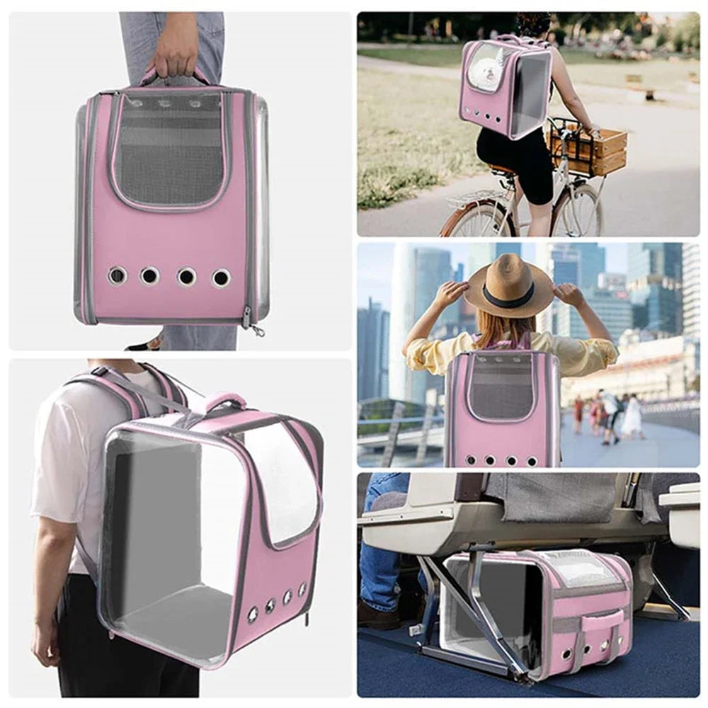 Clear Globe Pet Carrier