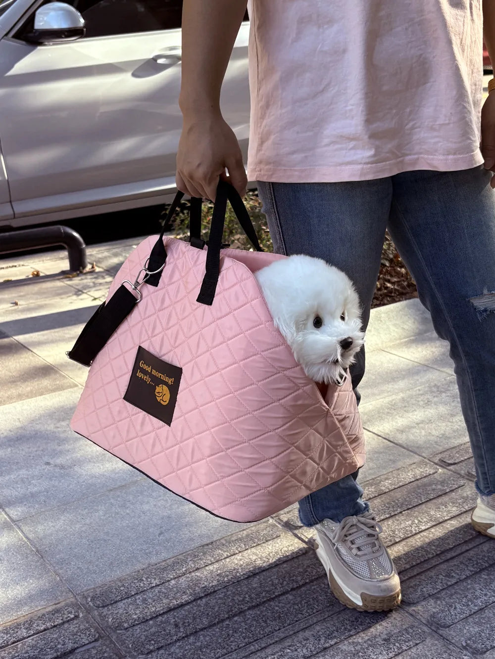 Car Seat Pet Travel Carrier